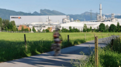 为建建粉饰行定制成长供给了切实可行的材料处